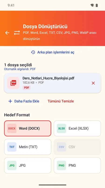 OmniDoc ekranı: Hedef formatı Word (DOCX) seç